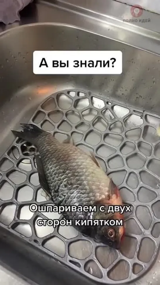 Видео от Выжить врагам назло