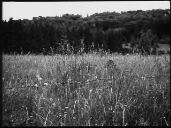 Philippe Garrel - Le revelateur