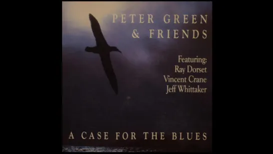 Peter Green  Friends (KATMANDU) - Boogie All The Way@1984