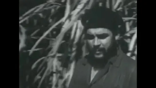 Che Guevara Че Гевара Hasta Siempre Comandante Jahmila