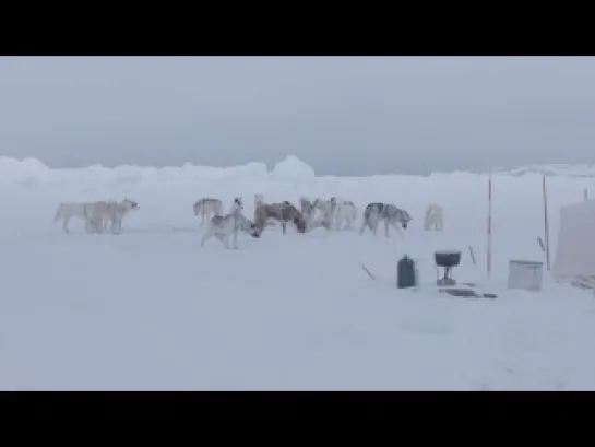 "Aningaaq" - спин офф «Гравитации»