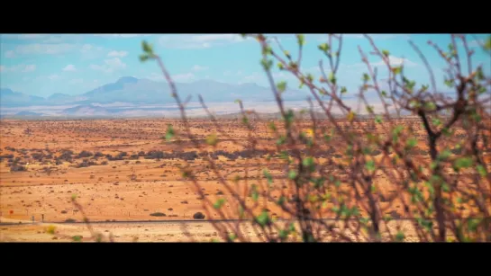 WILD NAMIBIA (4K) Республика Намибия