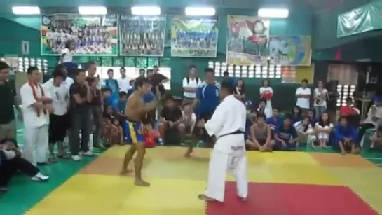 Kyokushin Karate vs Muay Thai