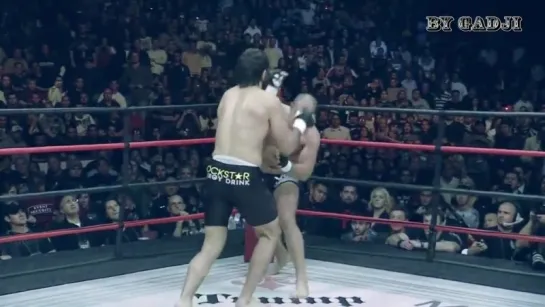 Fedor Emelianenko vs Andrei Arlovski _ BY GADJI