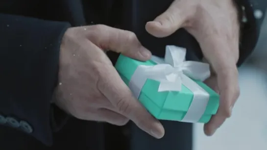 Tiffany  Co. — A Tiffany Holiday