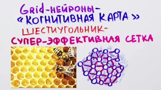 46. Что такое топографический кретинизм - Научпок