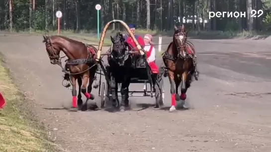 Вельские конноспортивные соревнования «Гордость Поморья»