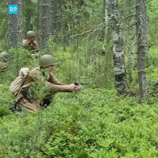 Всероссийская поисковая экспедиция «Кестеньгская наступательная операция»