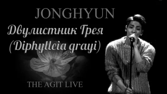 [RUS SUB] Джонхён - Двулистник Грея (LIVE ver) Jonghyun 종현 - Diphylleia grayi (Skeleton Flower) (산하엽)