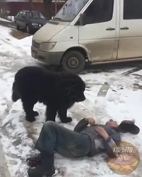 Выпил водку - береги пилотку