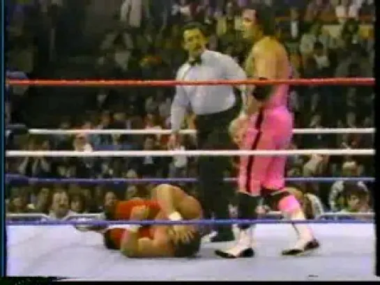 [Wrestling Museum]Bret Hart vs Davey Boy Smith - 9/5/87