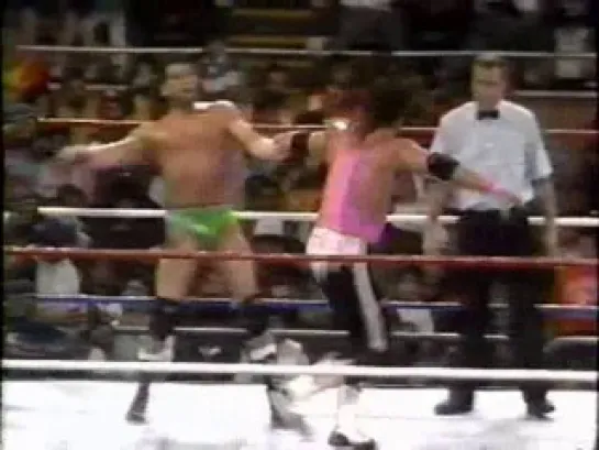 [Wrestling Museum]. Bret "Hitman" Hart vs Barry Horowitz