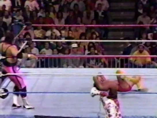 [Wrestling Museum]Randy Savage vs Bret Hart - 28/11/87