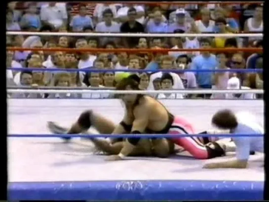 [Wrestling Museum]Bret Hart vs Bad News Brown - 31/7/88