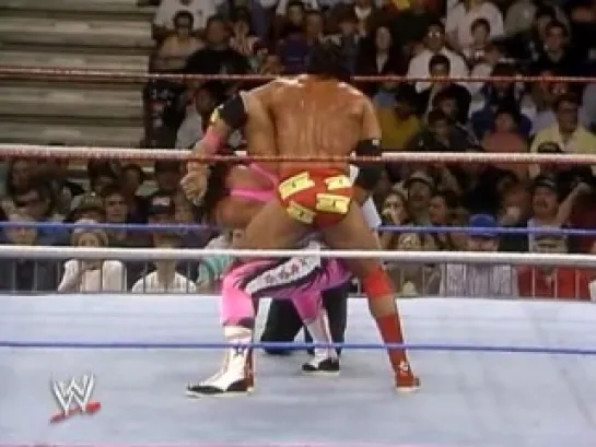 [Wrestling Museum] Bret Hart vs Razor Ramon - 24.01.93