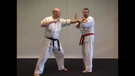 1.Иссин рю кюсёдзюцу мастеркласс.Isshin-ryu Kyusho-jitsu Master Class