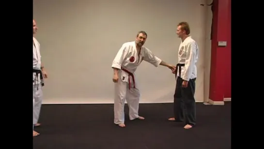 2.Иссин рю кюсёдзюцу мастеркласс.Isshin-ryu Kyusho-jitsu Master Class