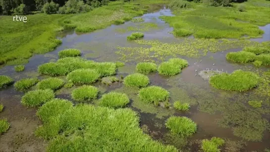 Somos documentales - Agua, el líquido más extraño