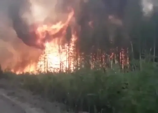 Пожары в Сибири. Как это выглядит [30.07.2019]