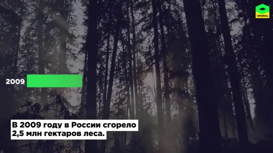 После огня. Фильм-расследование о причинах аномальных пожаров в сибирской тайге