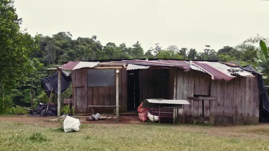 ⫸  Colombia fue nuestra (Jenni Kivistö, Jussi Rastas.2020)