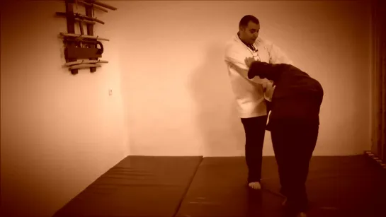 Rebel Hapkido Series 합기도 By Vidadi Hajiyev (59)