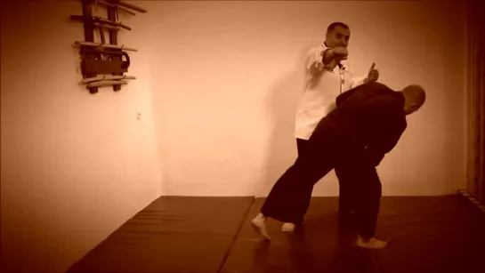 Rebel Hapkido Series 합기도 By Vidadi Hajiyev (58)