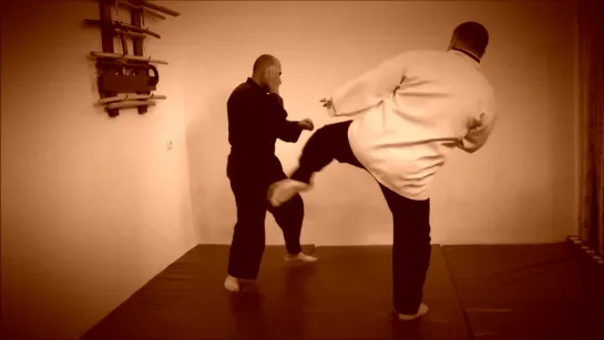 Rebel Hapkido Series 합기도 By Vidadi Hajiyev (56)