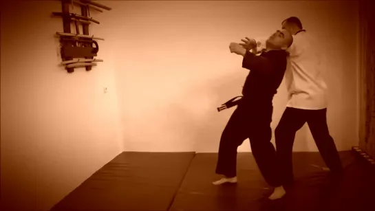 Rebel Hapkido Series 합기도 By Vidadi Hajiyev (52)