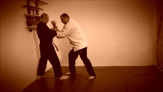 Rebel Hapkido Series 합기도 By Vidadi Hajiyev (47)