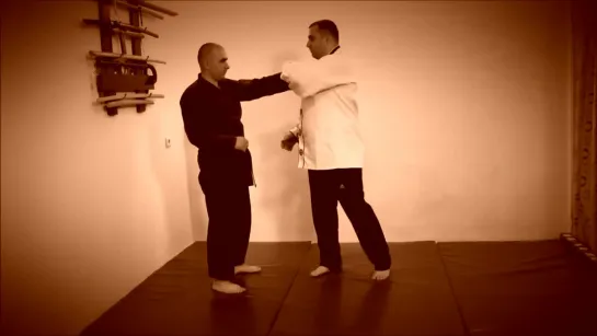 Rebel Hapkido Series 합기도 By Vidadi Hajiyev (46)