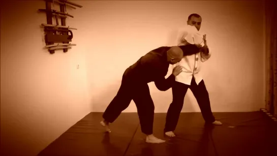 Rebel Hapkido Series 합기도 By Vidadi Hajiyev (42)