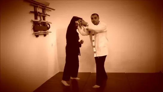 Rebel Hapkido Series 합기도 By Vidadi Hajiyev (38)