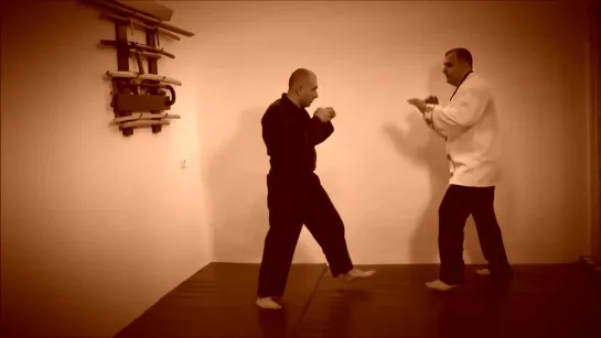 Rebel Hapkido Series 합기도 By Vidadi Hajiyev (36)