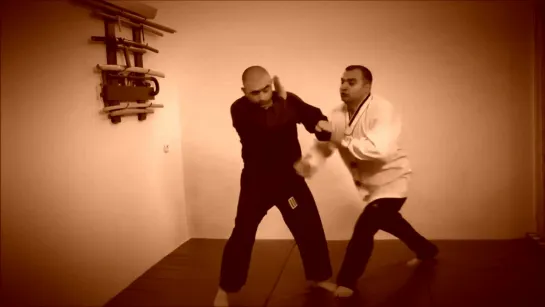 Rebel Hapkido Series 합기도 By Vidadi Hajiyev (35)