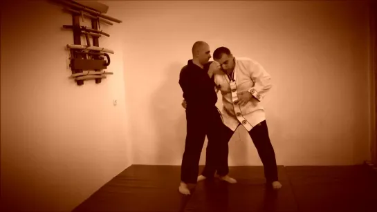 Rebel Hapkido Series 합기도 By Vidadi Hajiyev (26)