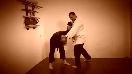 Rebel Hapkido Series 합기도 By Vidadi Hajiyev (28)