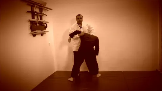 Rebel Hapkido Series 합기도 By Vidadi Hajiyev (29)