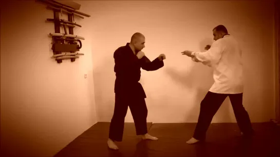 Rebel Hapkido Series 합기도 By Vidadi Hajiyev (25)