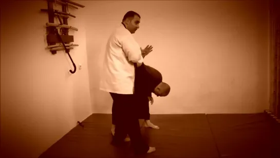 Rebel Hapkido Series 합기도 By Vidadi Hajiyev (7)