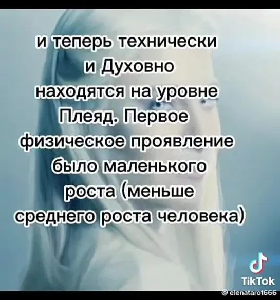 Высшая раса