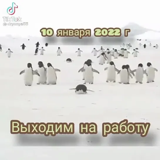 Выходим на работу