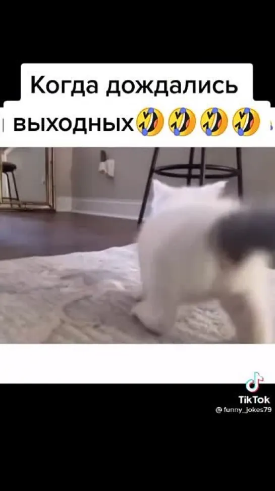 Когда дождались выходных