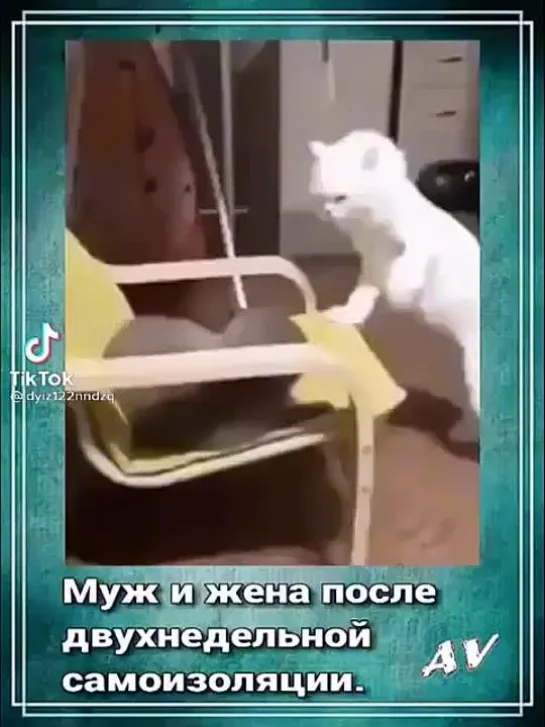 Муж и жена