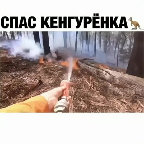 Садитесь ржать,пожалуйста!