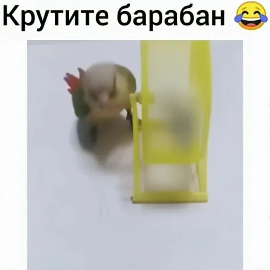 Садитесь ржать,пожалуйста!