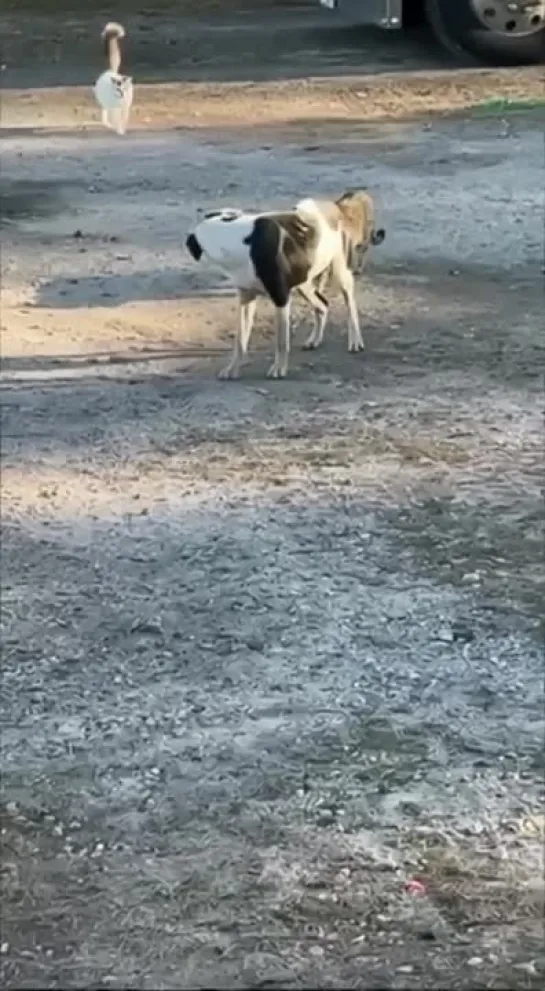 Садитесь ржать,пожалуйста!