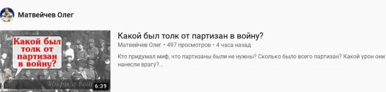 Матвейчев. Какой был толк от партизан в войну? 01.11.20г.