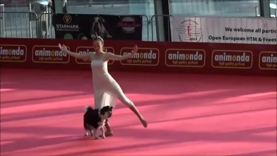 OEC 2014 - Dogdance Freestyle - Sandra  Lizzy