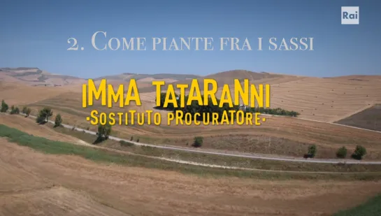 2. Come piante fra i sassi